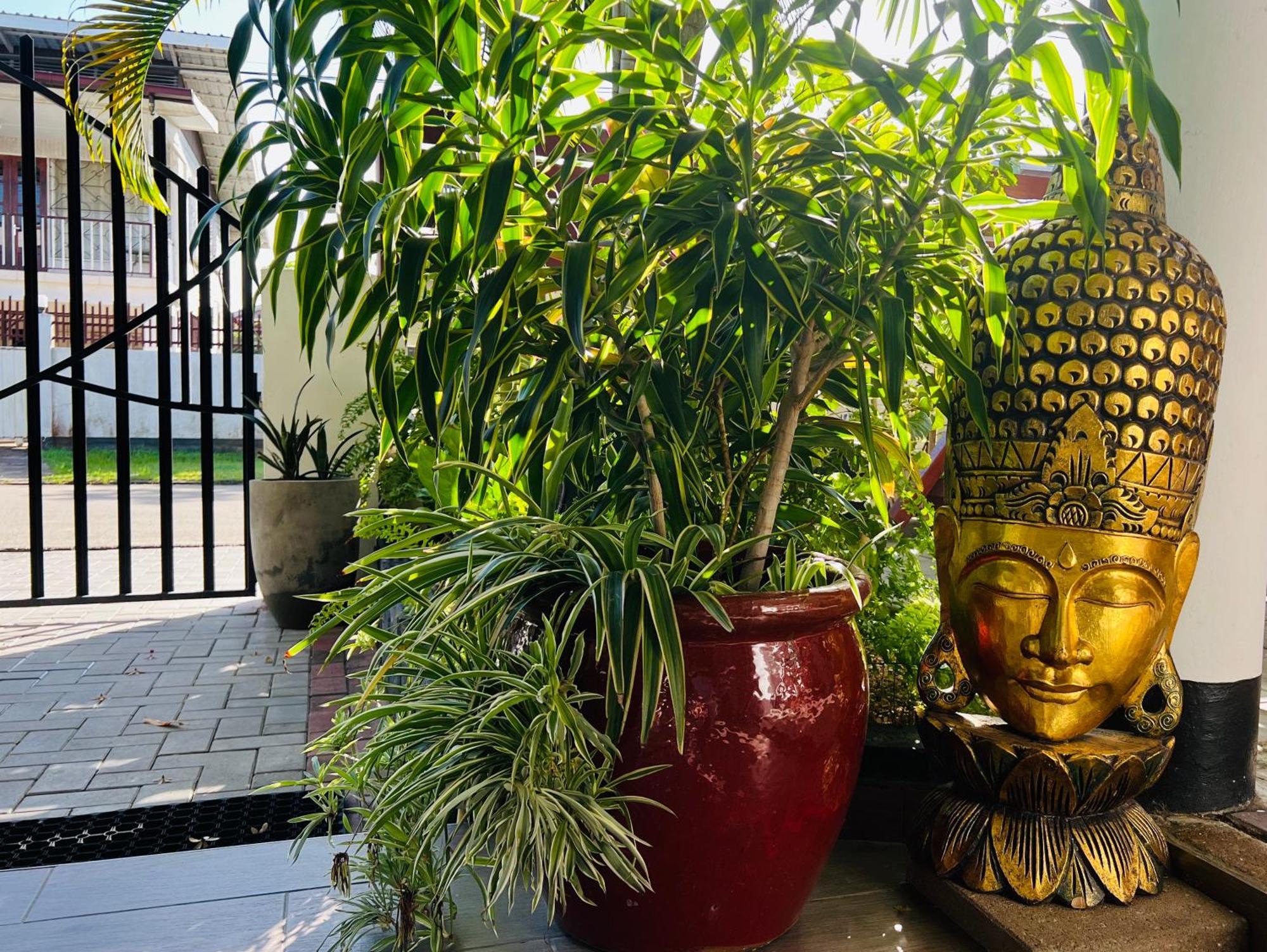 Villa Famiri Boutique Hotel Paramaribo Eksteriør bilde
